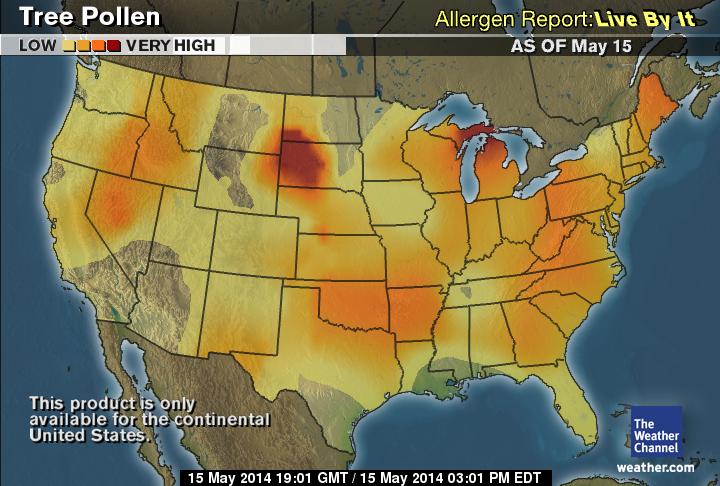 COPD Allergies: Dealing With Seasonal Allergies & COPD 