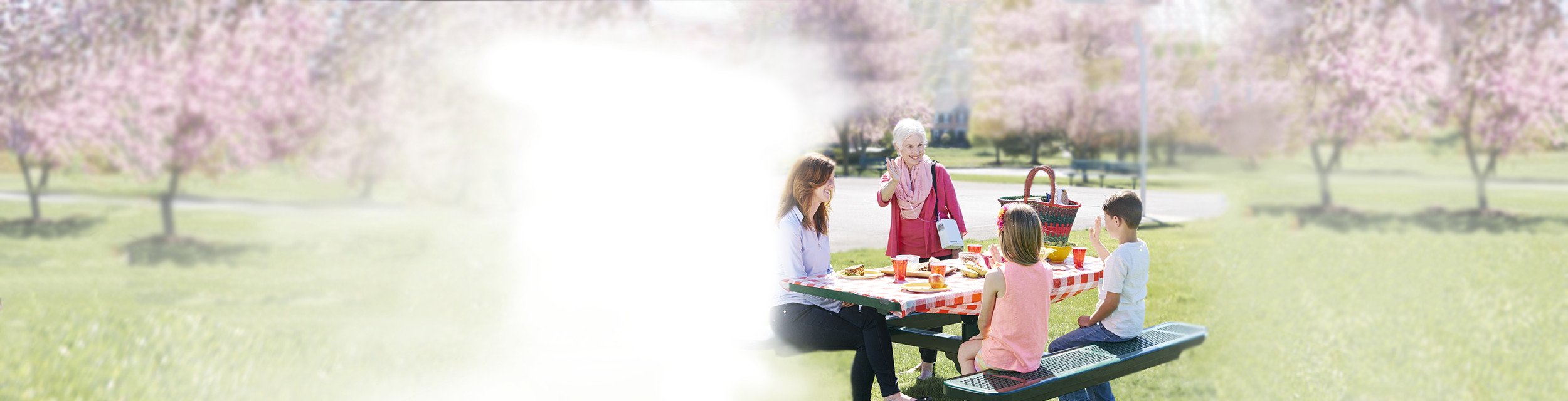 Inogen Family Picnic